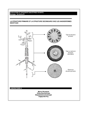 Le système caulinaire, la feuille - Biologie101