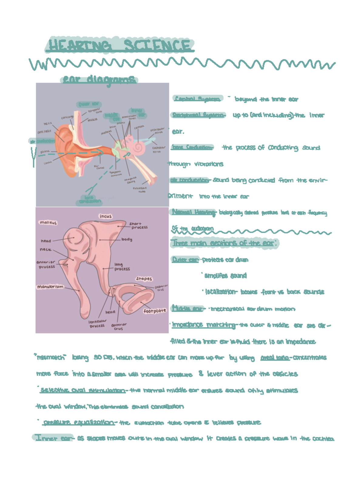 Exam 1 - This is a comprehensive guide to the exam based on all book ...