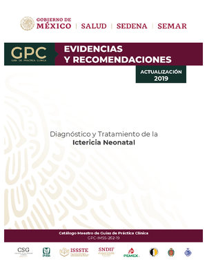 Vigilancia Trabajo De Parto Gu A De Pr Ctica Cl Nica Gpc Vigilancia Y Atenci N Amigable En