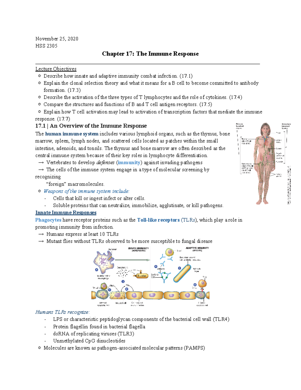 Chap. 17 The Immune Response - November 25, 2020 HSS 2305 Chapter 17 ...