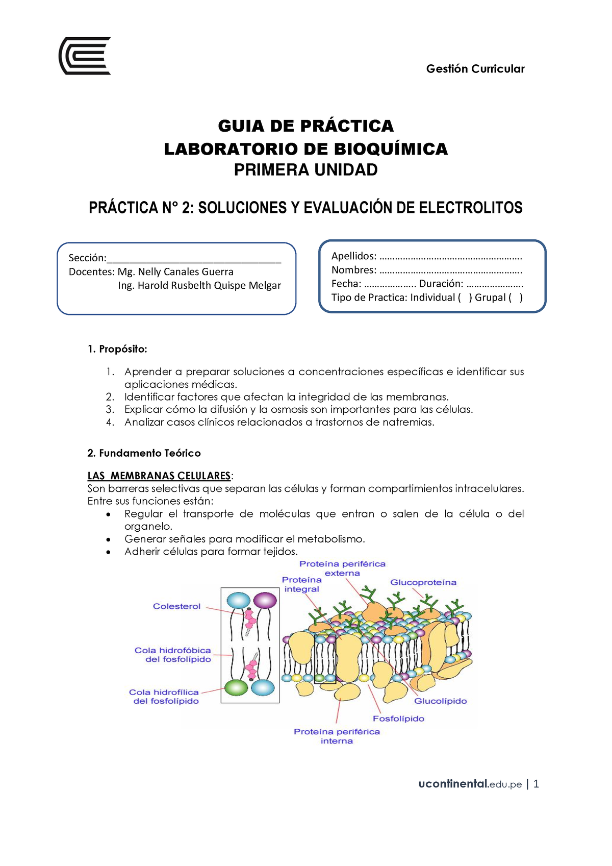 GUIA DE PRÁ Ctica 2 - GUIA DE PRÁCTICA LABORATORIO DE BIOQUÍMICA ...