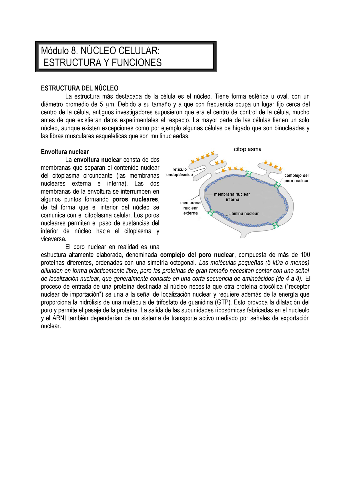 Modulo 08 16 Apuntes 8 S4005 Studocu