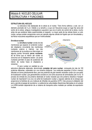 Modulo 08 16 Apuntes 8 S4005 Studocu