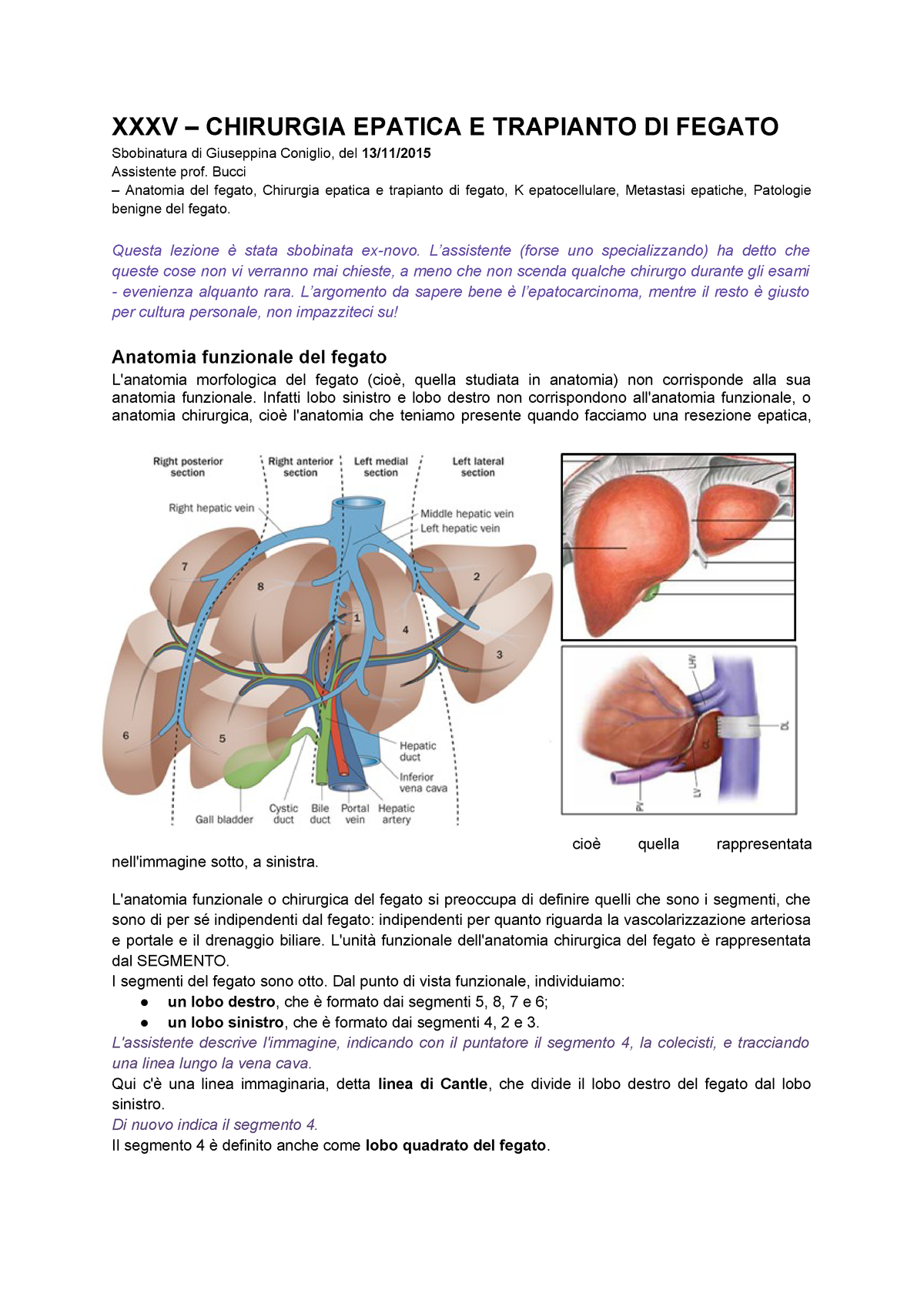 Appunti Lezione Del 13 Novembre 2015 Su Chirurgia Epatica E