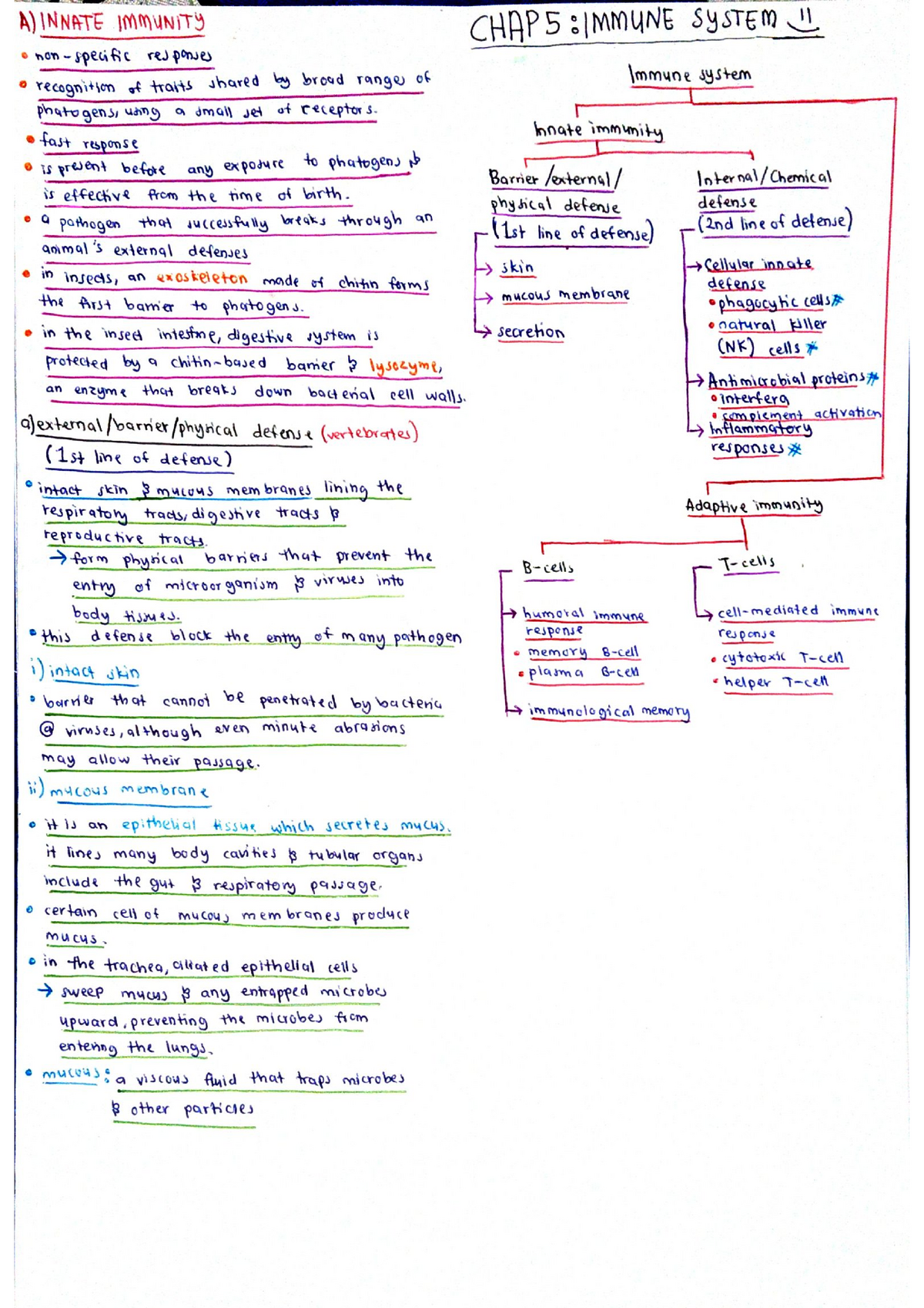 BIO270 CHAP 5 NOTES - Diploma in Science - Studocu