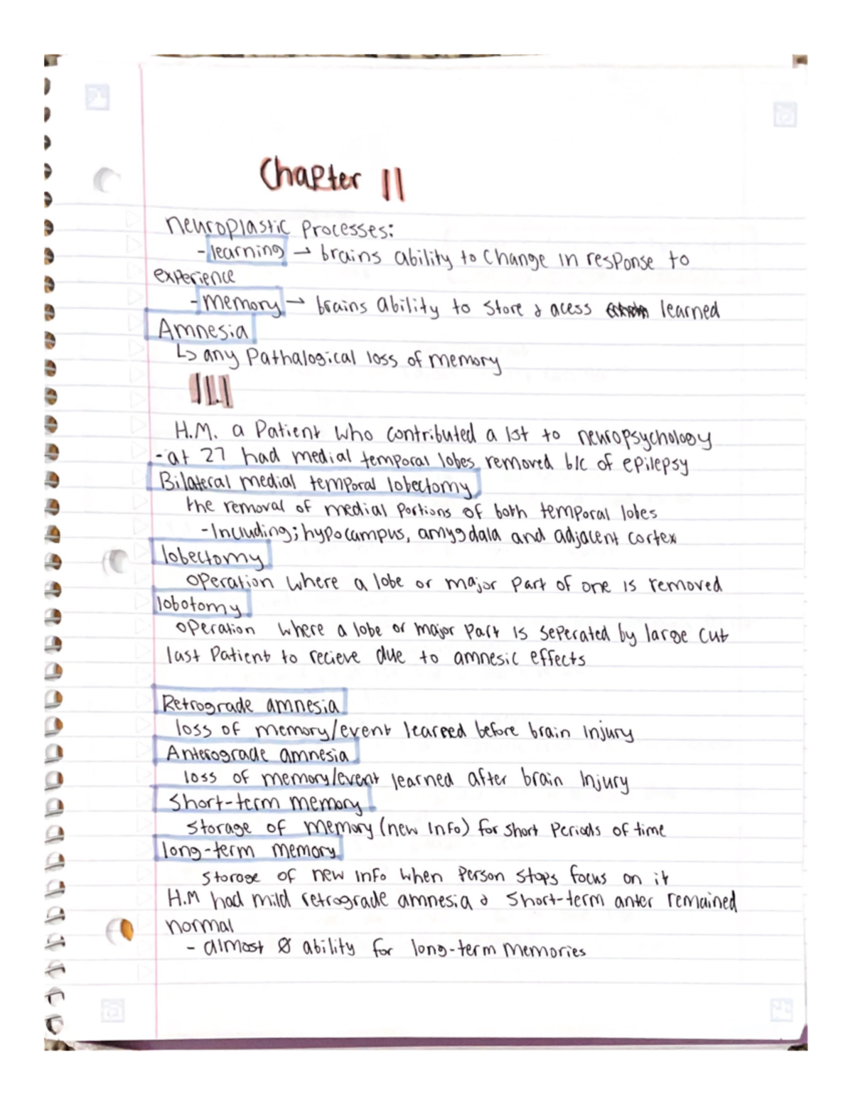 Neuro Chapter 11 Lecture Notes Nsc 1306 Studocu Neuro Chapter 11 Lecture Notes Nsc 1306 Studocu