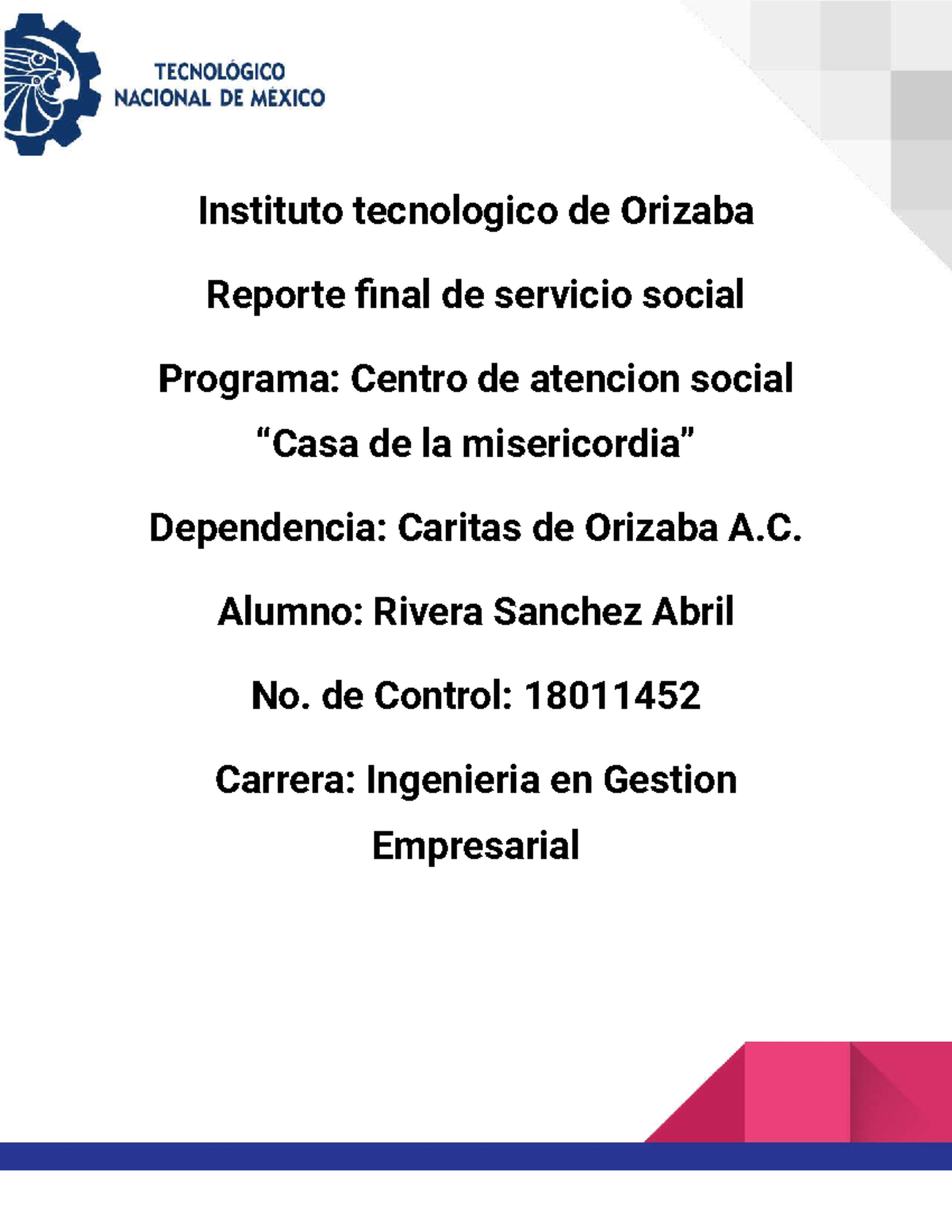 Reporte Final Servicio Social - Instituto tecnologico de Orizaba ...