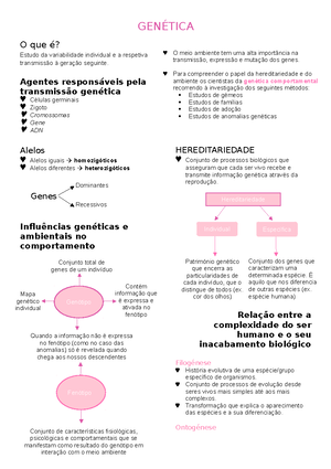 Cérebro - PSICOLOGIA B 12º ANO - CEREBRO - Cérebro Elementos ...