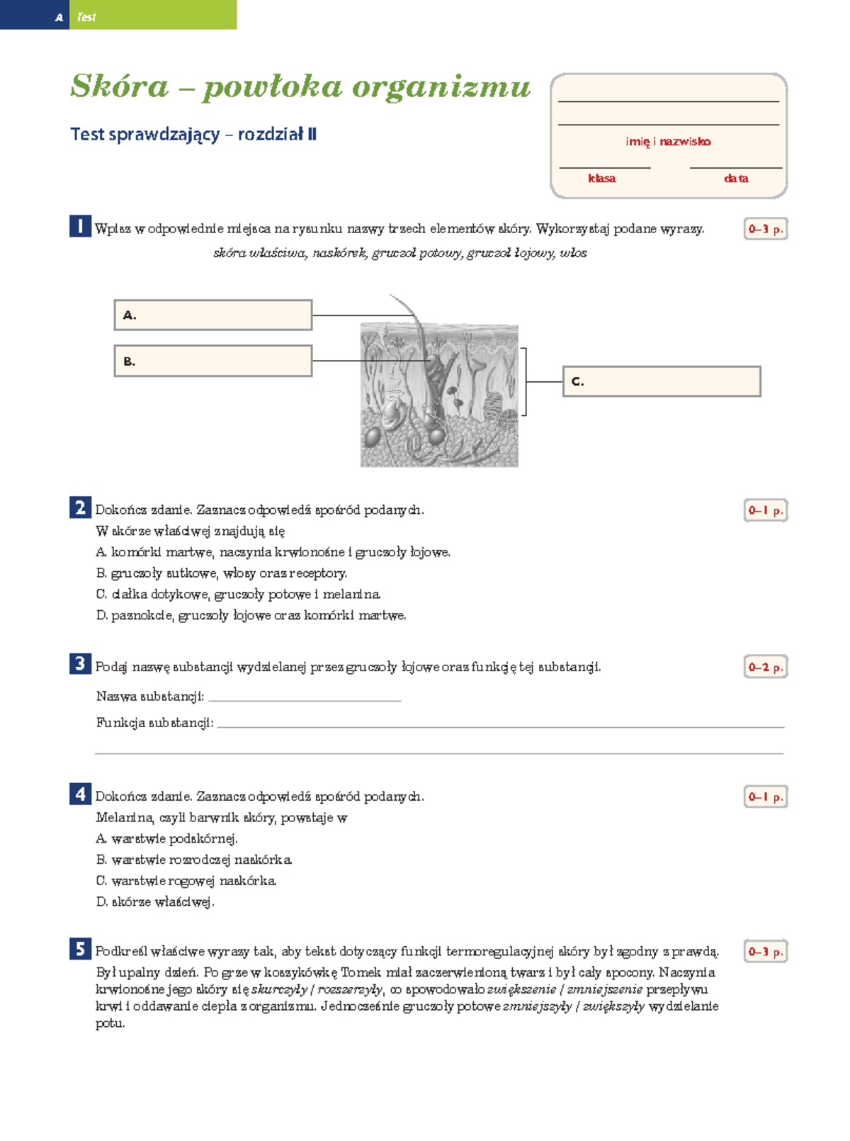 Sprawdzian Gimnazjum 2 Skora Powłoka Organizmu