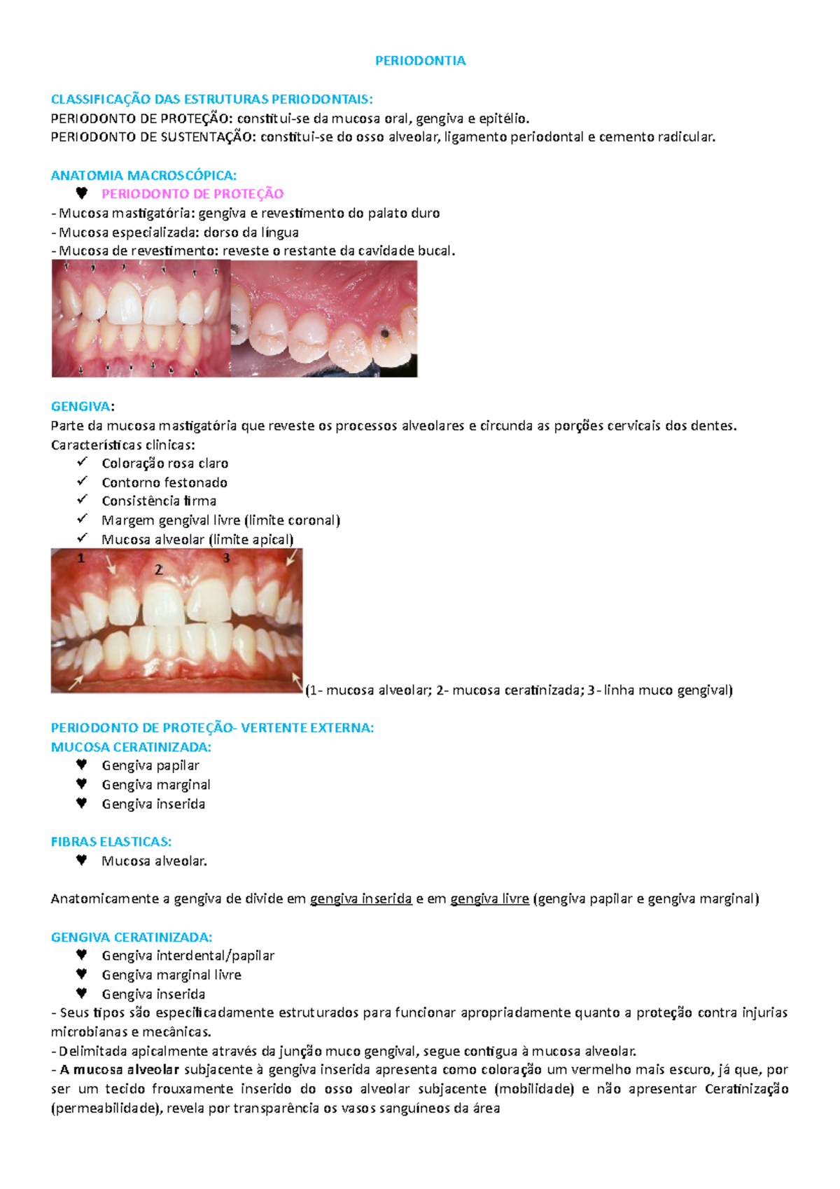 Periodontia I Anatomia Periodontal - PERIODONTIA CLASSIFICAÇÃO DAS ...