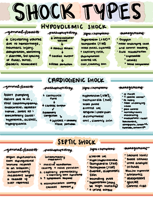 PAtho neuro Study guide - Structure and Function of the Neurologic ...