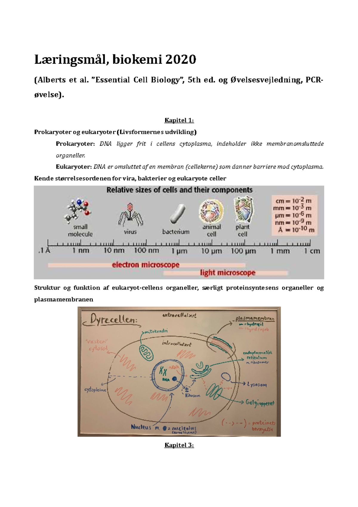 Læringsmål2020biokemi - Læringsmål, Biokemi 2020 (Alberts Et Al ...