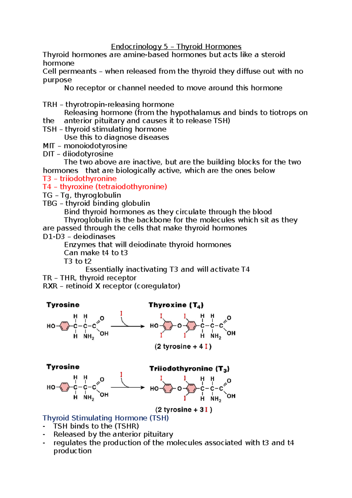 Endocrinology 5 - Dr Cathy Slack - Endocrinology 5 – Thyroid Hormones ...