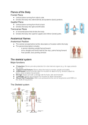 Pe Summary Notes (start Of Aos 1) - Pe Summary Notes • Classification 