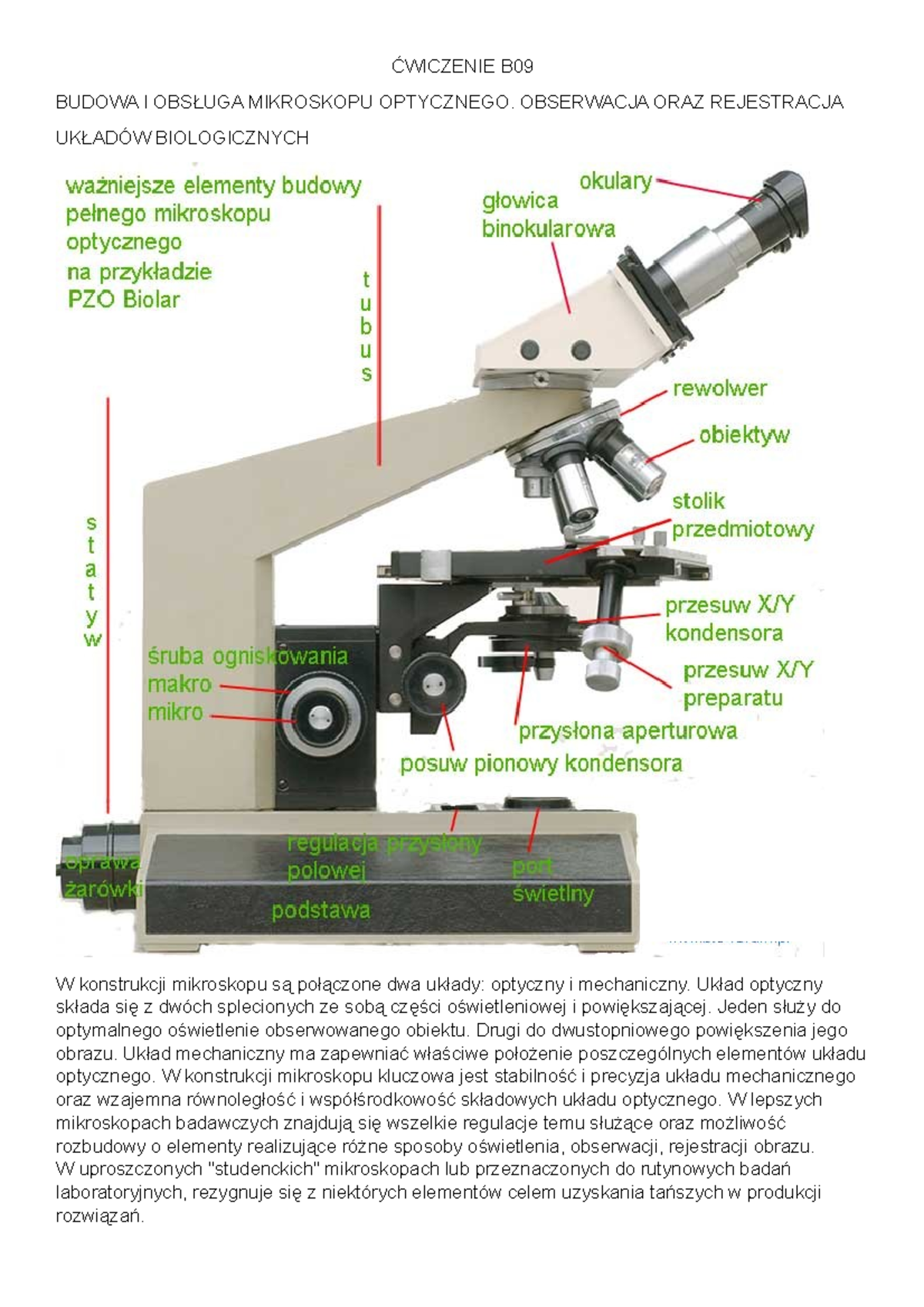 biofiz-wiczenie-b-budowa-i-obs-uga-mikroskopu-optycznego-obserwacja