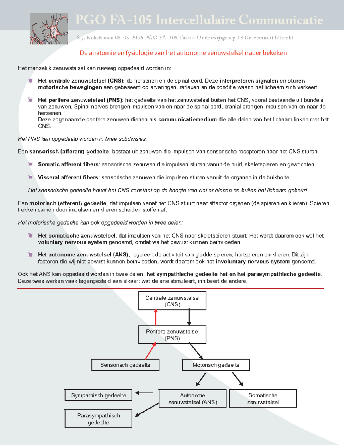 2006/2007, Taak 4 De Anatomie En Fysiologie Van Het Autonome ...