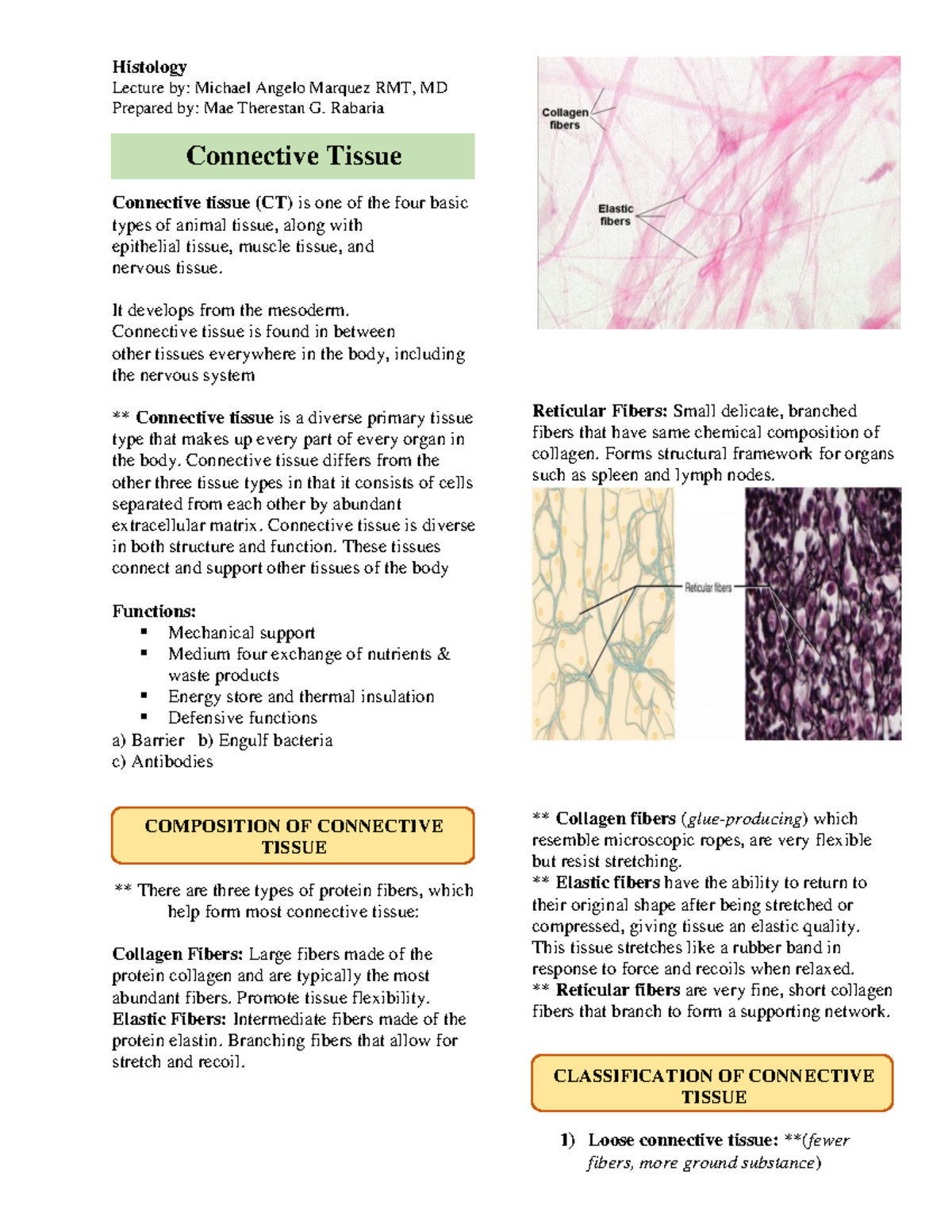 Human Histology - Connective Tissue - Histology Lecture by: Michael ...