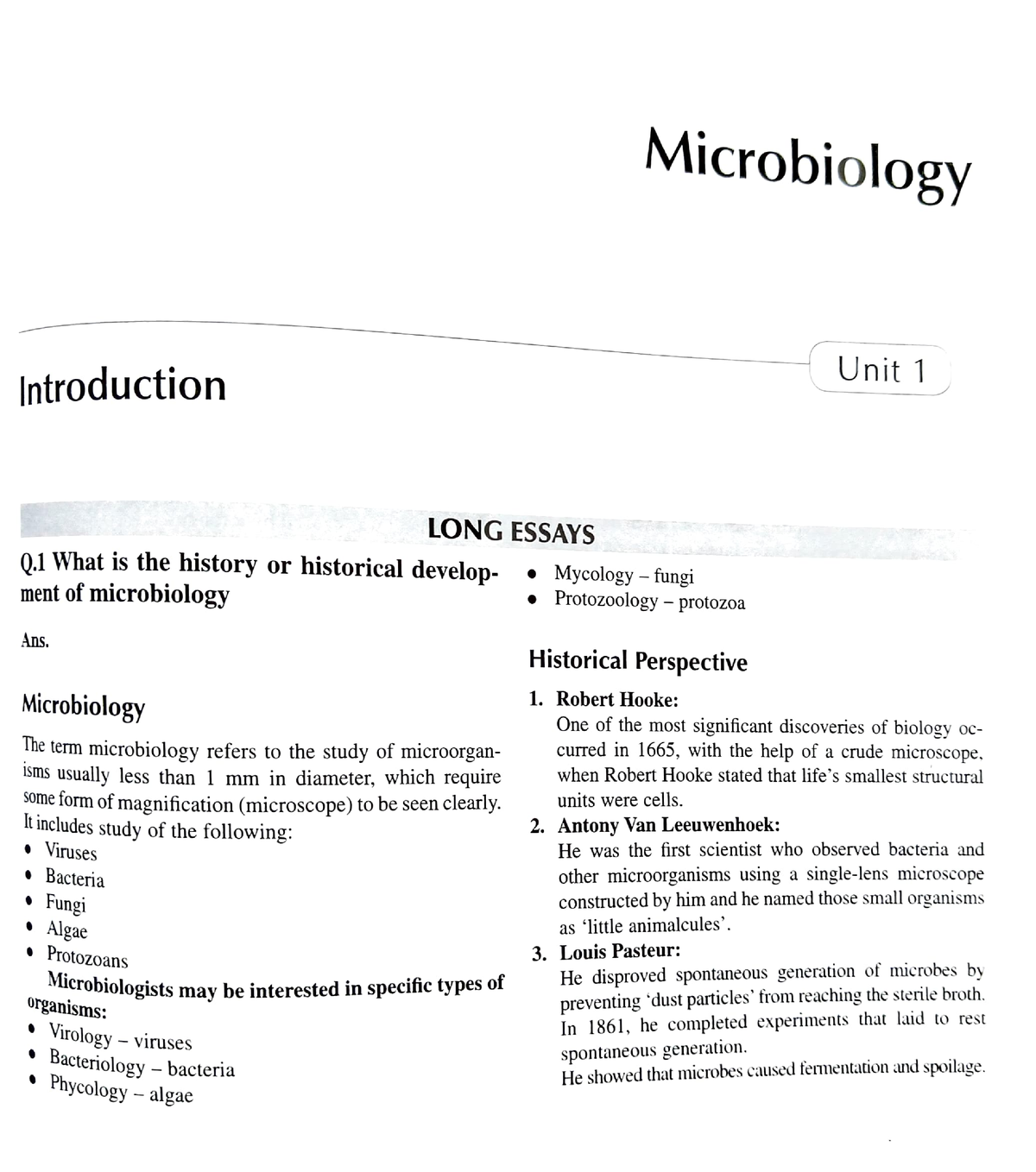 essay topics in microbiology