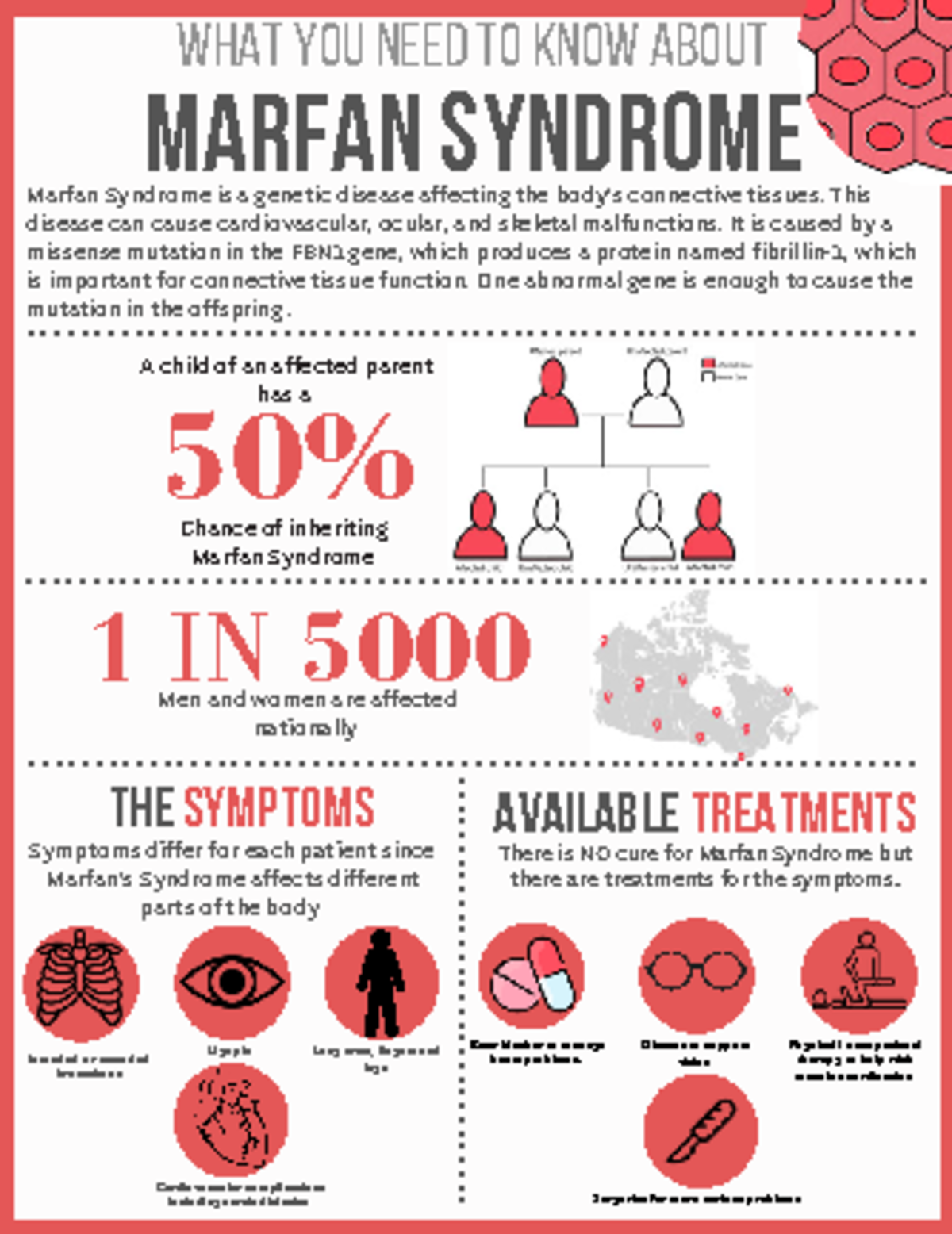 Marfan Syndrome - notes - MARFAN SYNDROME A child of an affected parent ...