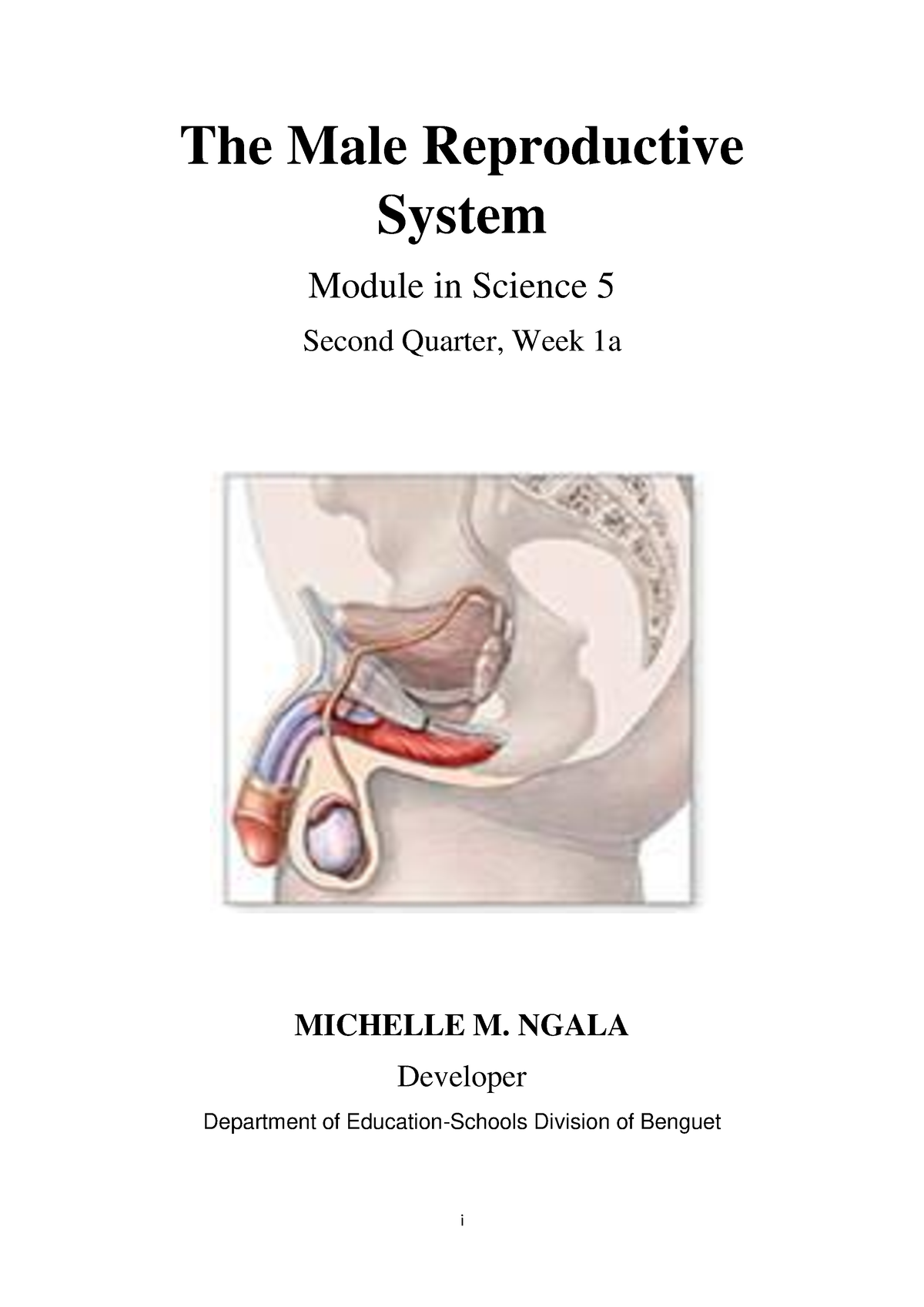 Sci5 Q2 M1 The Male Reproductive System I The Male Reproductive System Module In Science 5 