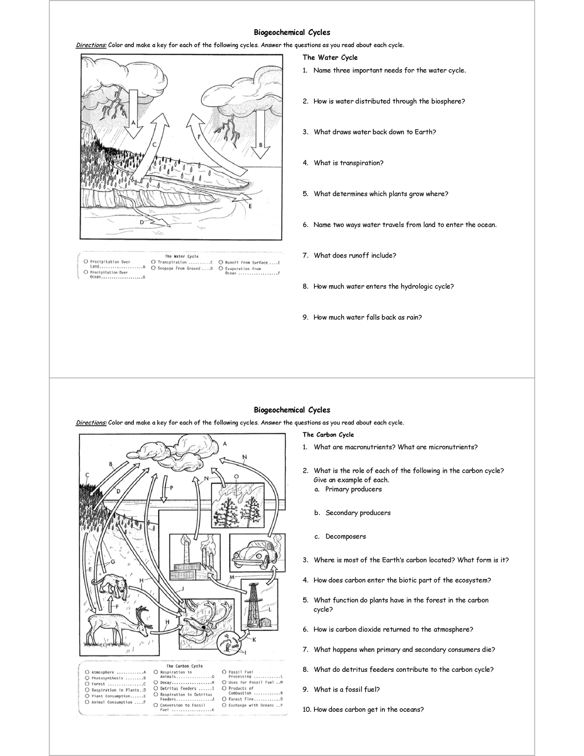 08 WS Biogeochemical Cycles Coloring Questions 1 - Directions: Color ...