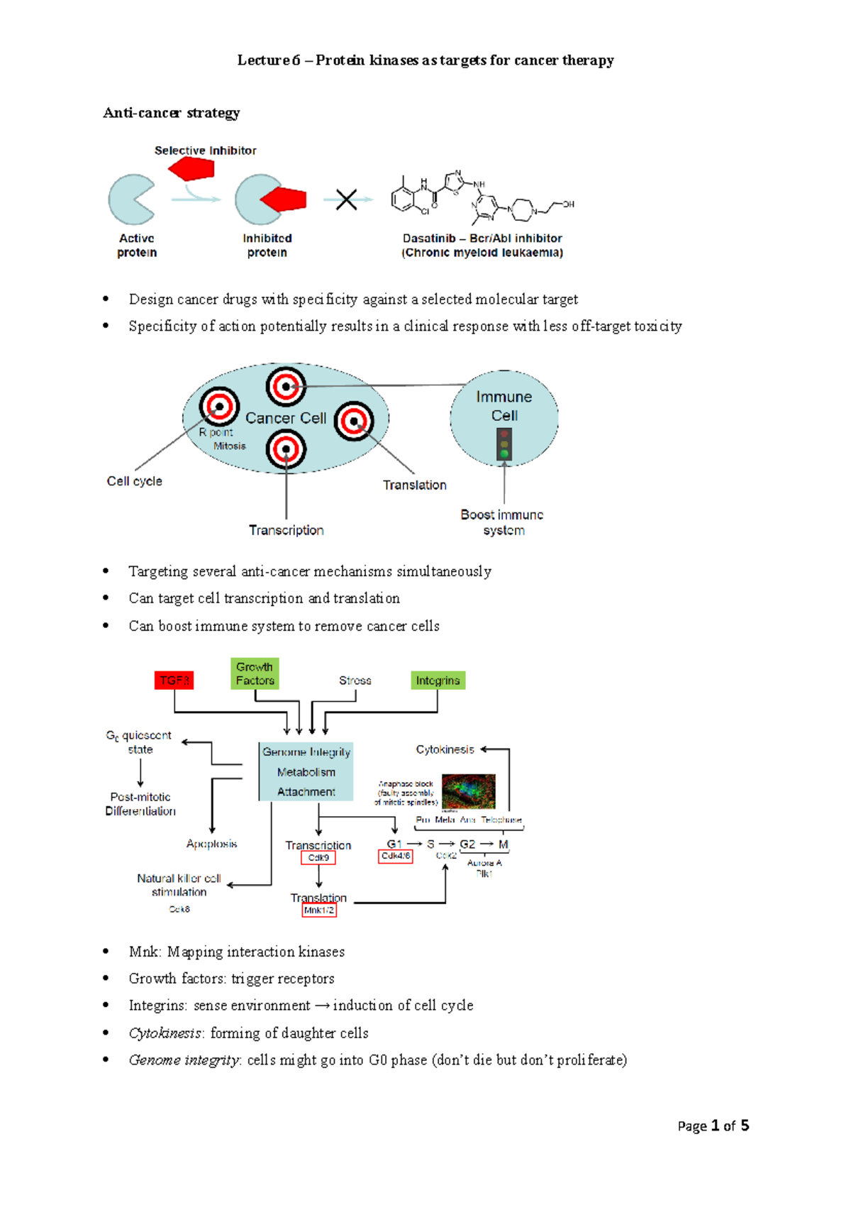 Lecture 6 - Lecture 6 Protein kinases as targets for cancer therapy ...