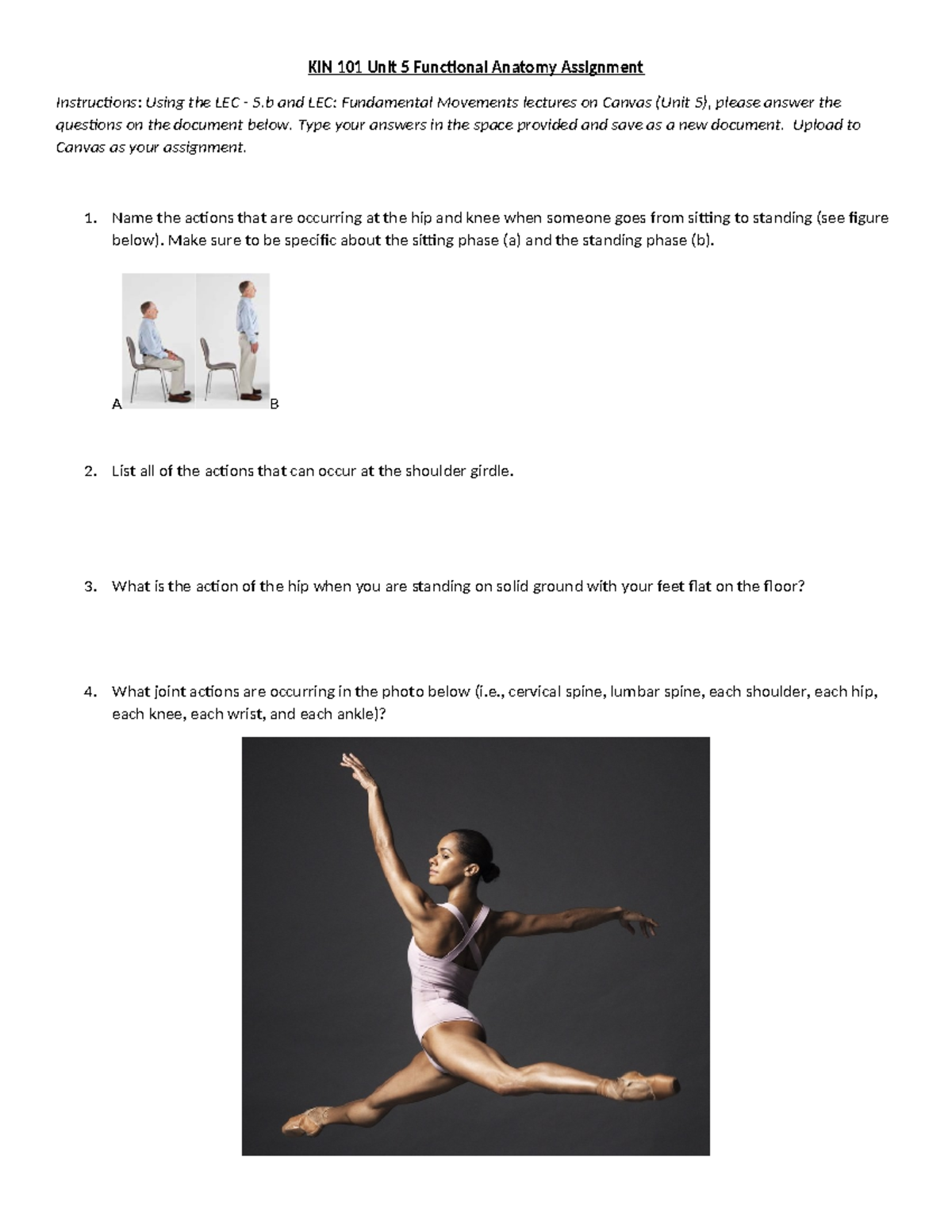 Summer Functional Anatomy Assignment-1 - KIN 101 Unit 5 Functional ...