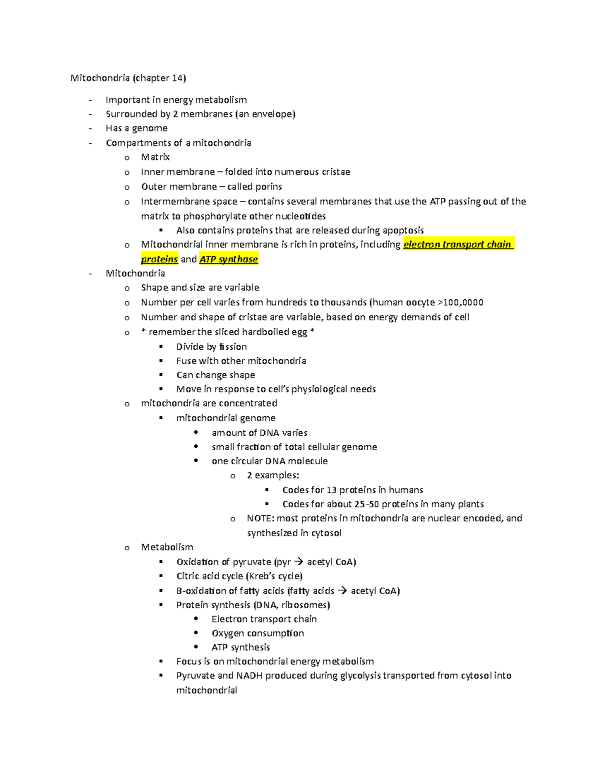 Lecture 3 test 3 - notes - Mitochondria (chapter 14) Important in ...