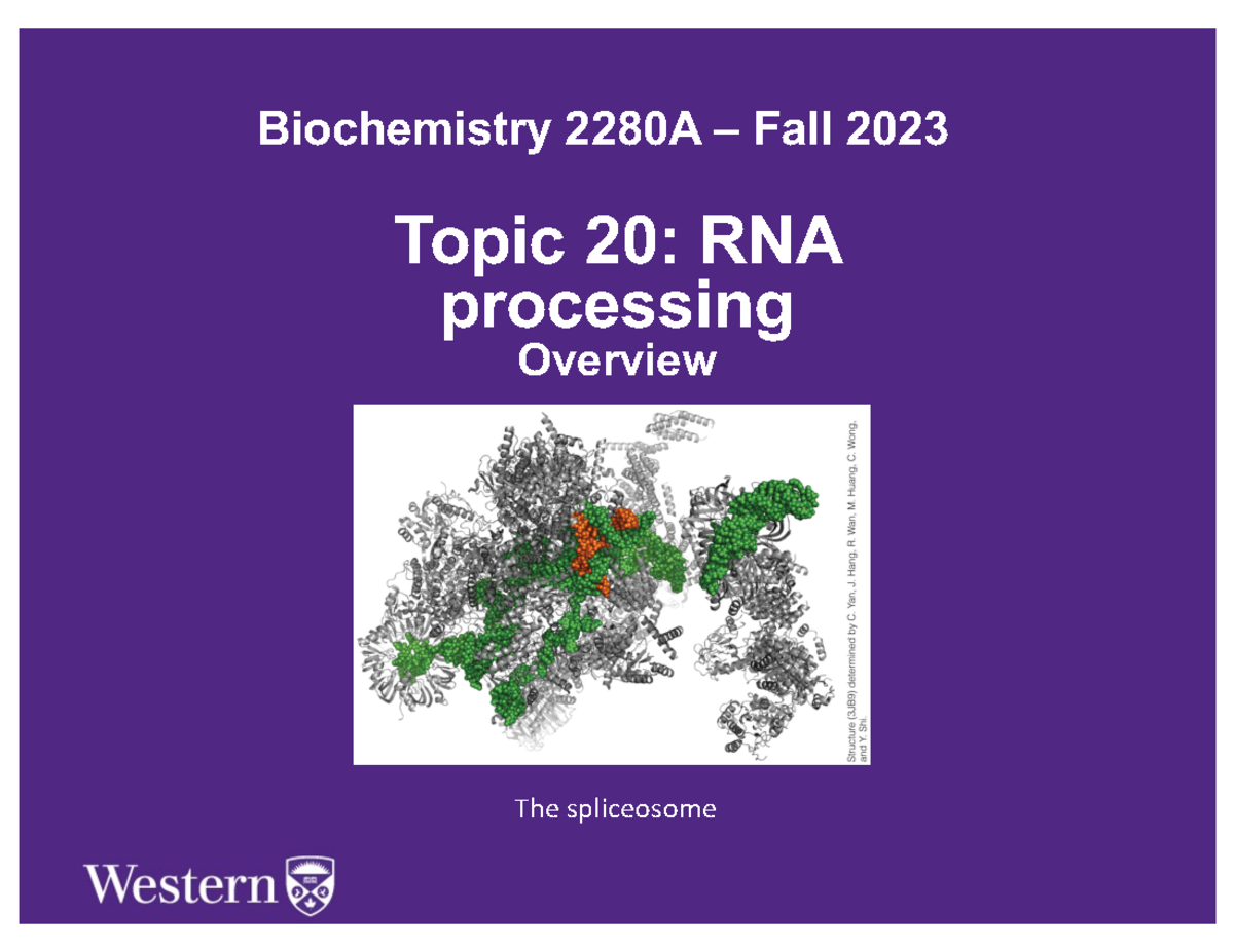Topic 20 2023 new - lecture notes - The spliceosome Topic 20: RNA ...