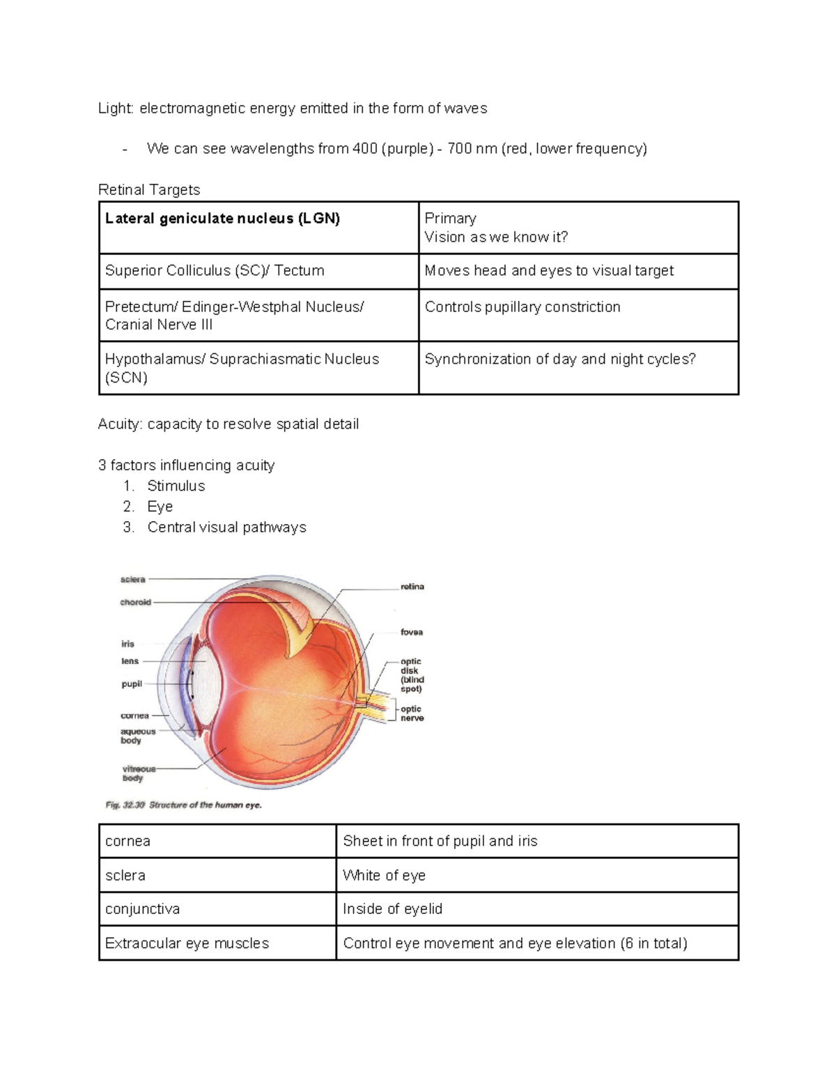 Vision Eye and Retina - Light: electromagnetic energy emitted in the ...