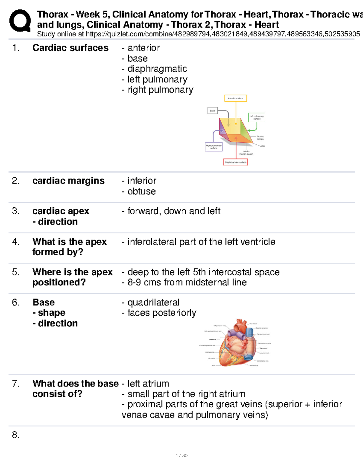 Year 1 Thorax Anatomy Practice questions in the style of flash cards