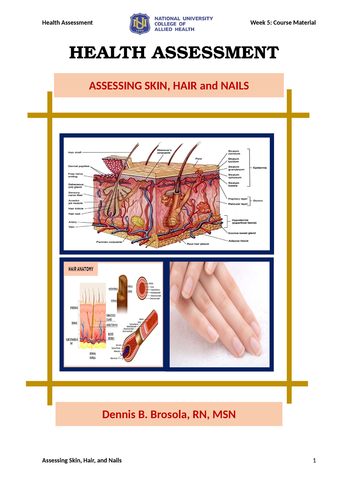 Week 5 Course Material Assessing Skin Hair And Nails Adoc Health