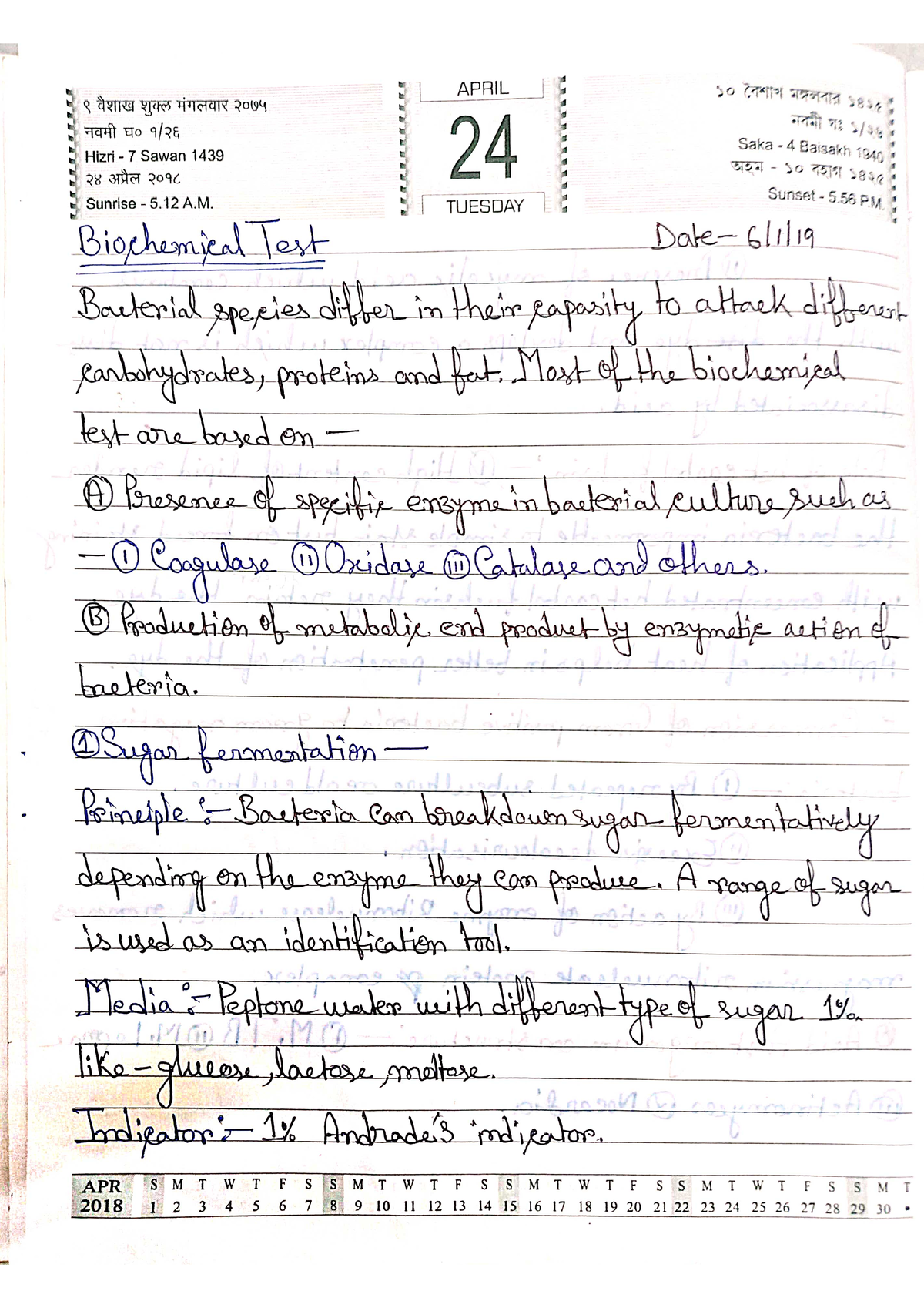 Bacterial Identification ( Biochemical Test With Bacteriology ...