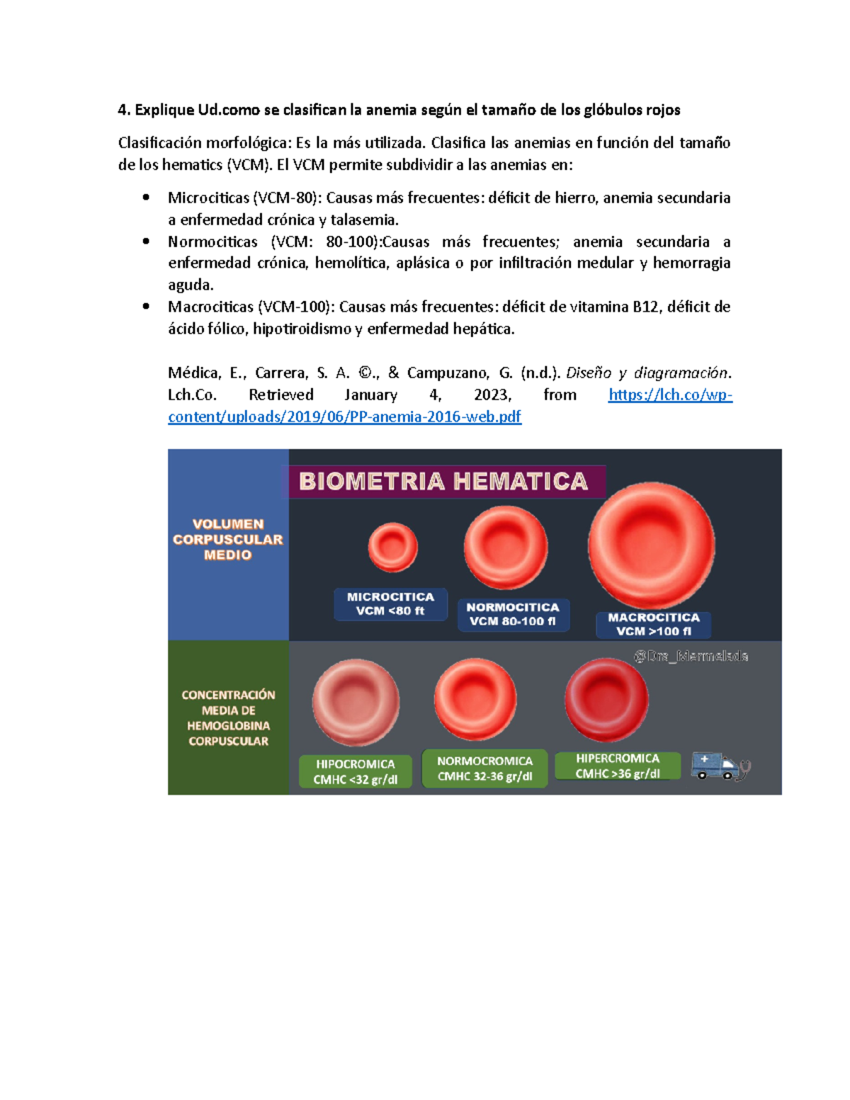 Fisio Anemeia Anemia Explique Ud Se Clasifican La Anemia Según El Tamaño De Los Glóbulos