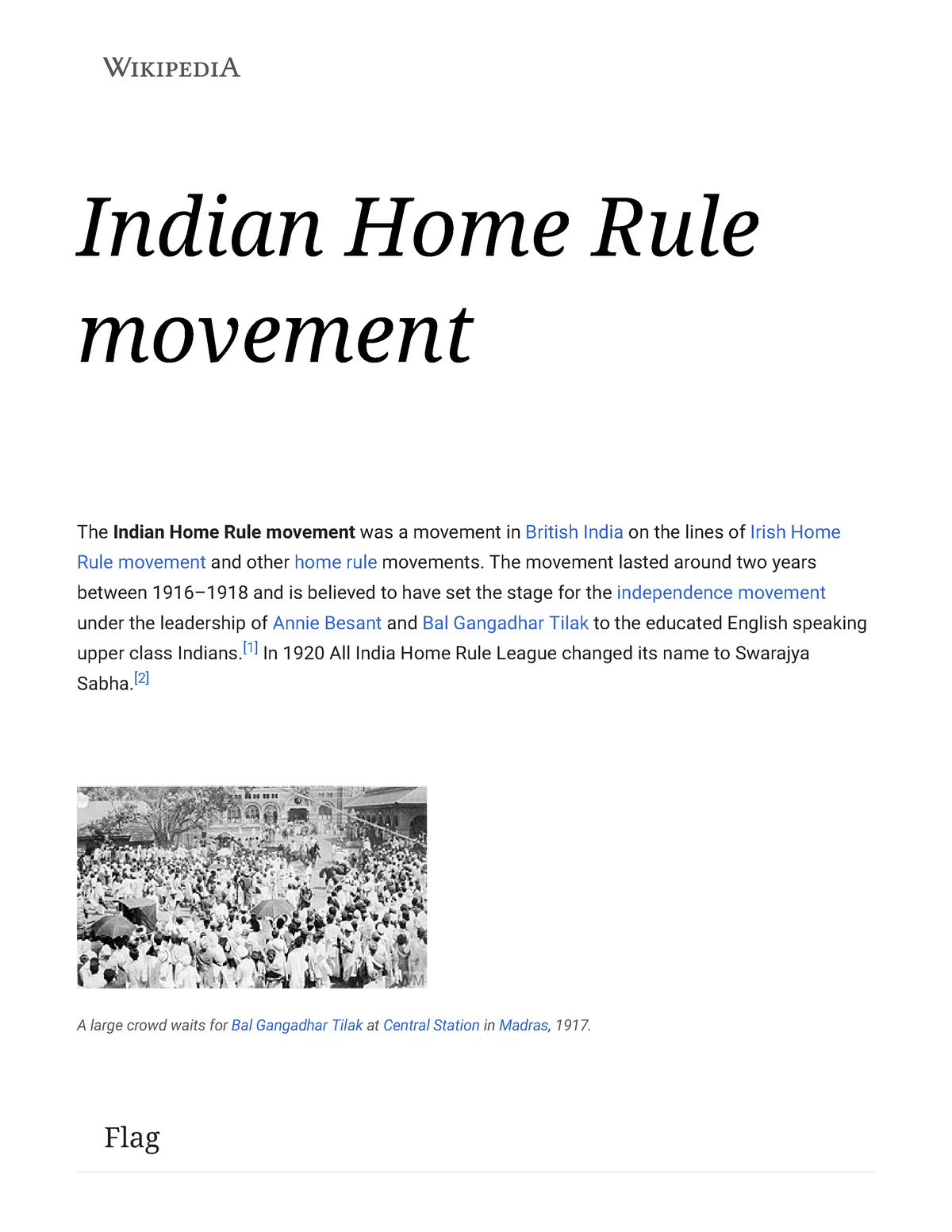 write an essay on home rule movement