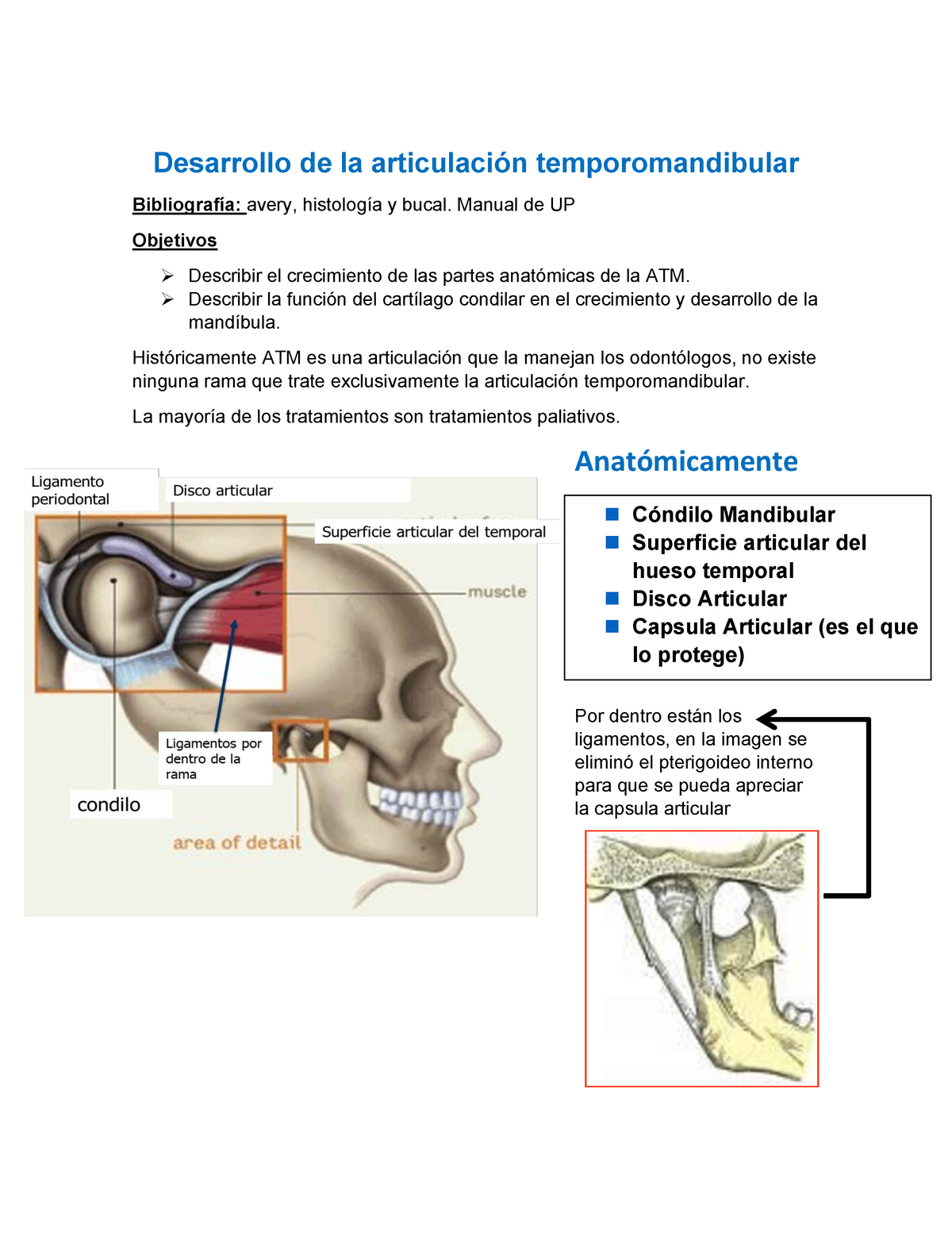 Desarrollo de la articulación temporomandibular - AU-112 - UNI - Studocu