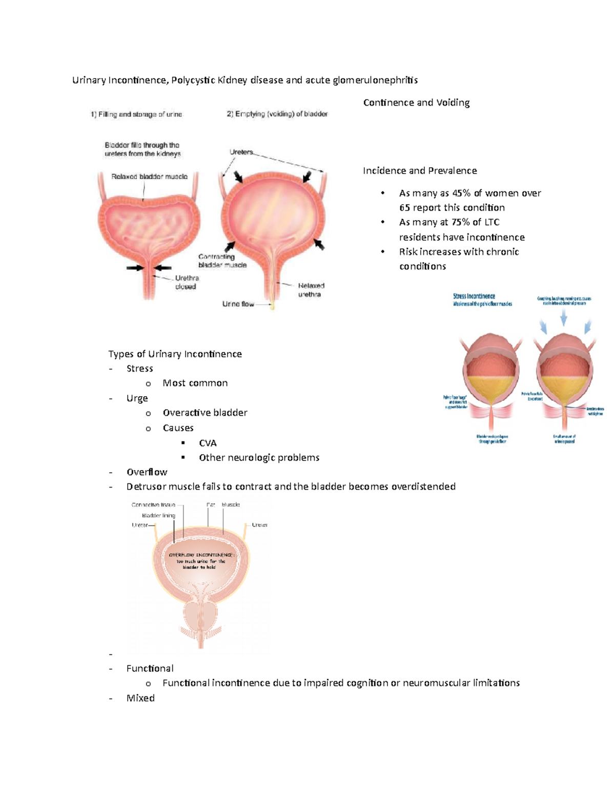 Exam 2 Urinary Incontinence Urinary Incontinence, Polycystic Kidney