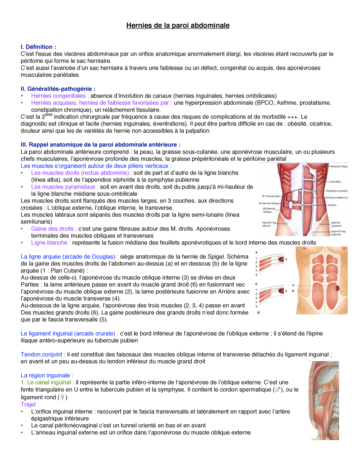 Hernie De La Paroi Abdominale Notes De Cours Detaillées Hernies De La Paroi Abdominale I 4326