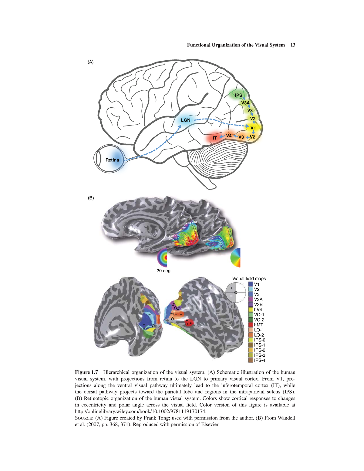 Handbook Of Experimental Psychology And Cognitive Neuroscience 5 ...