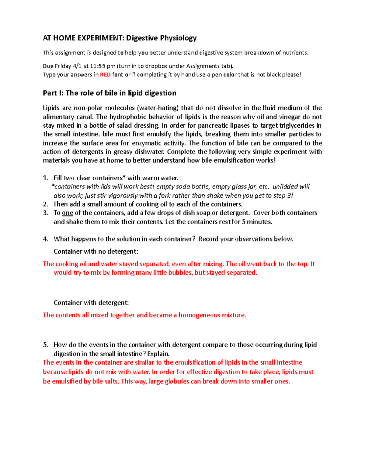 At Home Experiment Digestive Physiology SP22-2 - AT HOME EXPERIMENT ...