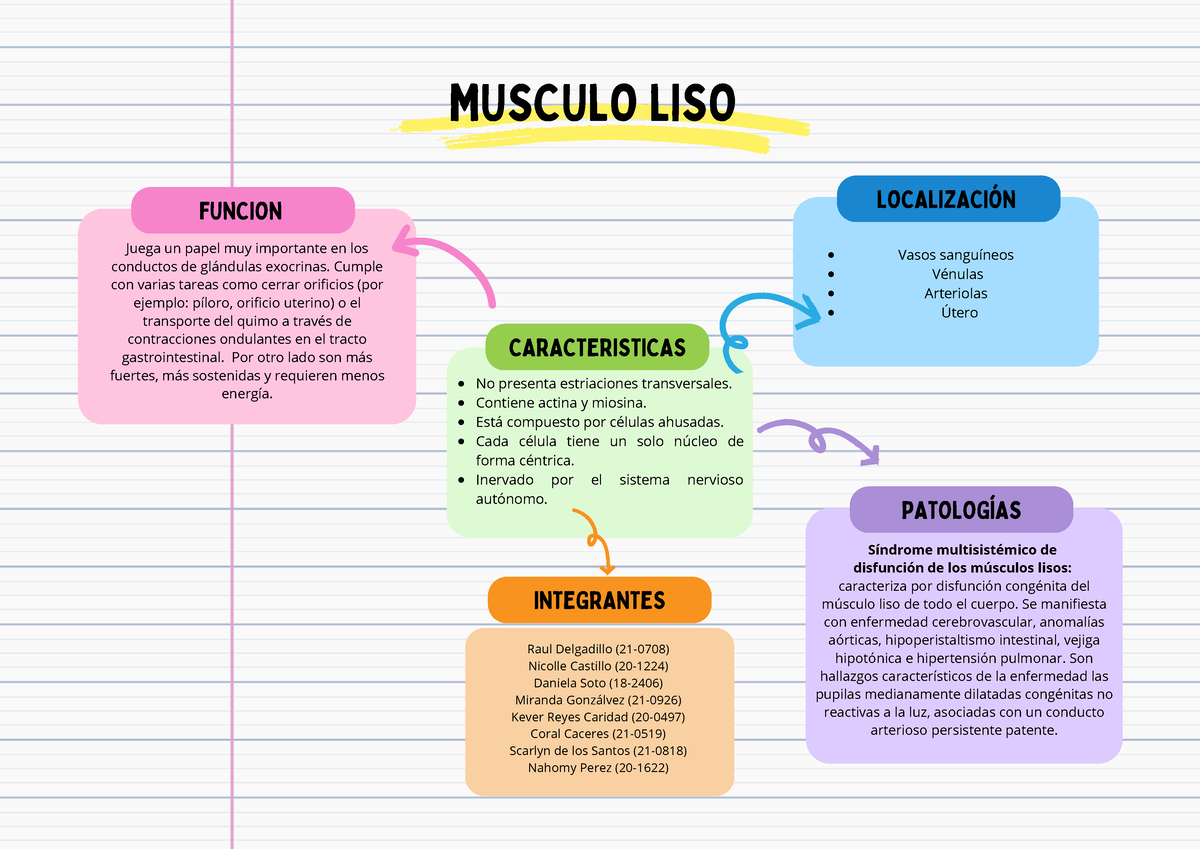 ejemplos de músculos lisos