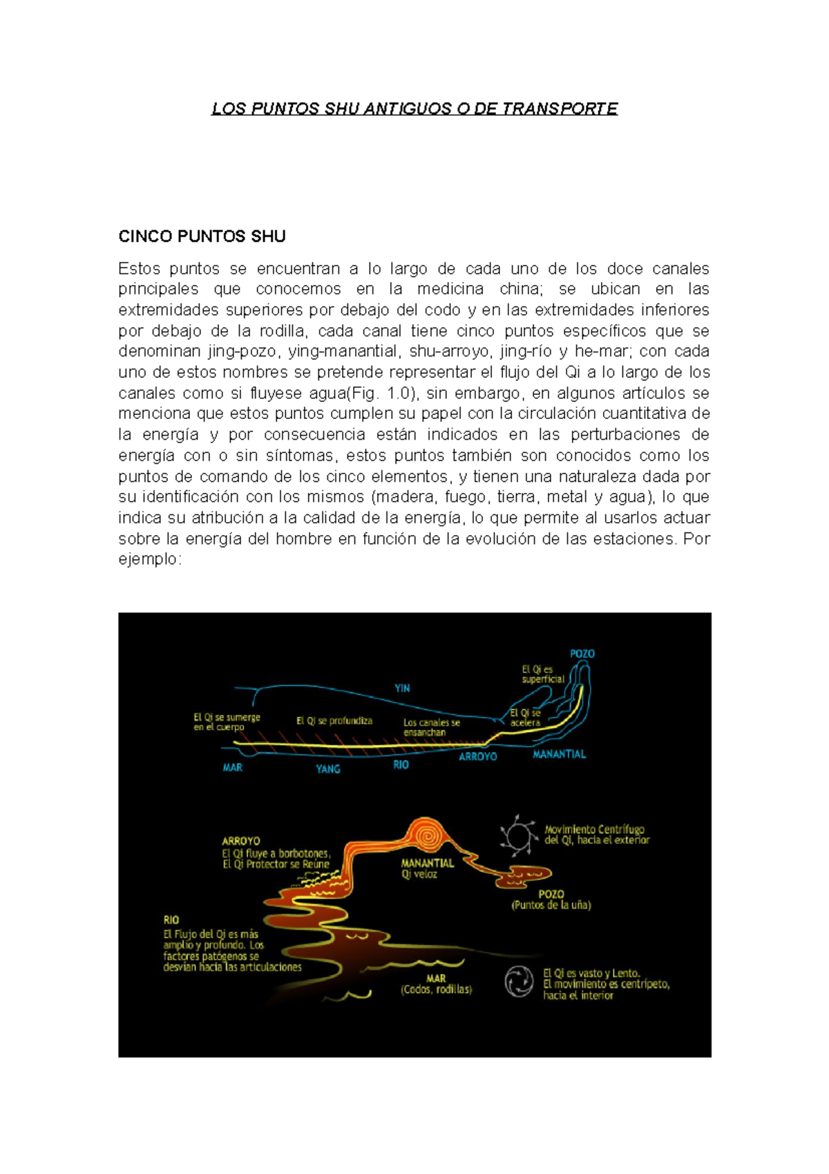 Resumen TEMA I - puntos shu de transporte - LOS PUNTOS SHU ANTIGUOS O ...