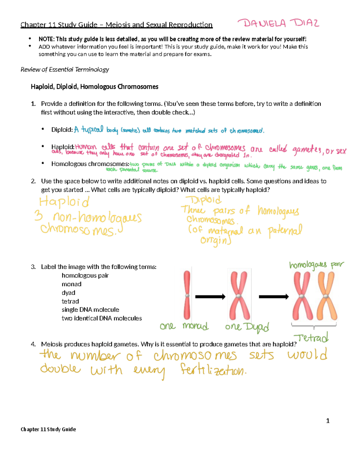 1140 Chapter 11 Study Guide Daniela Diaz - Chapter 11 Study Guide ...