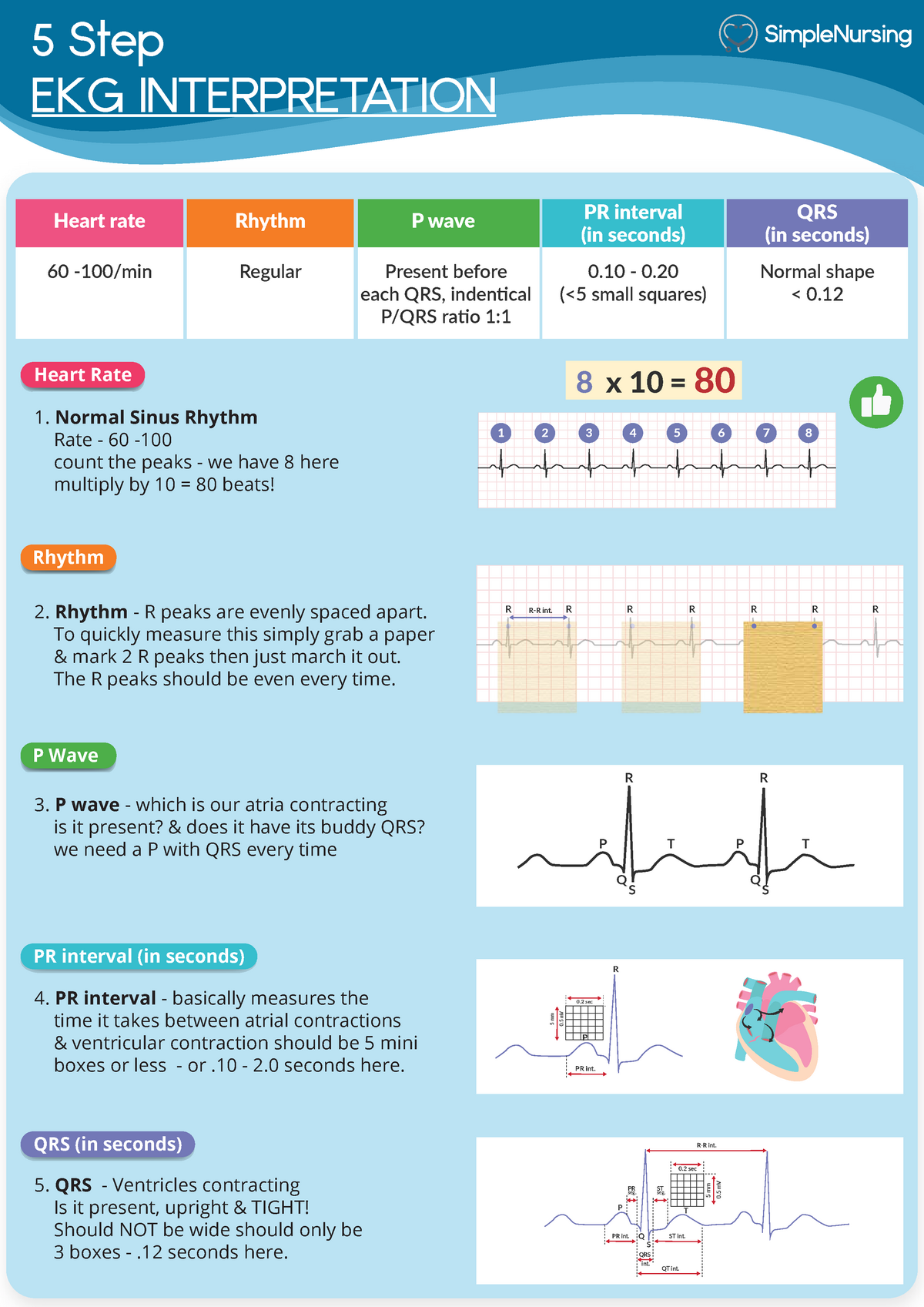 1 5 Step EKG Interpretation 5 Step EKG INTERPRETATION Heart Rate 