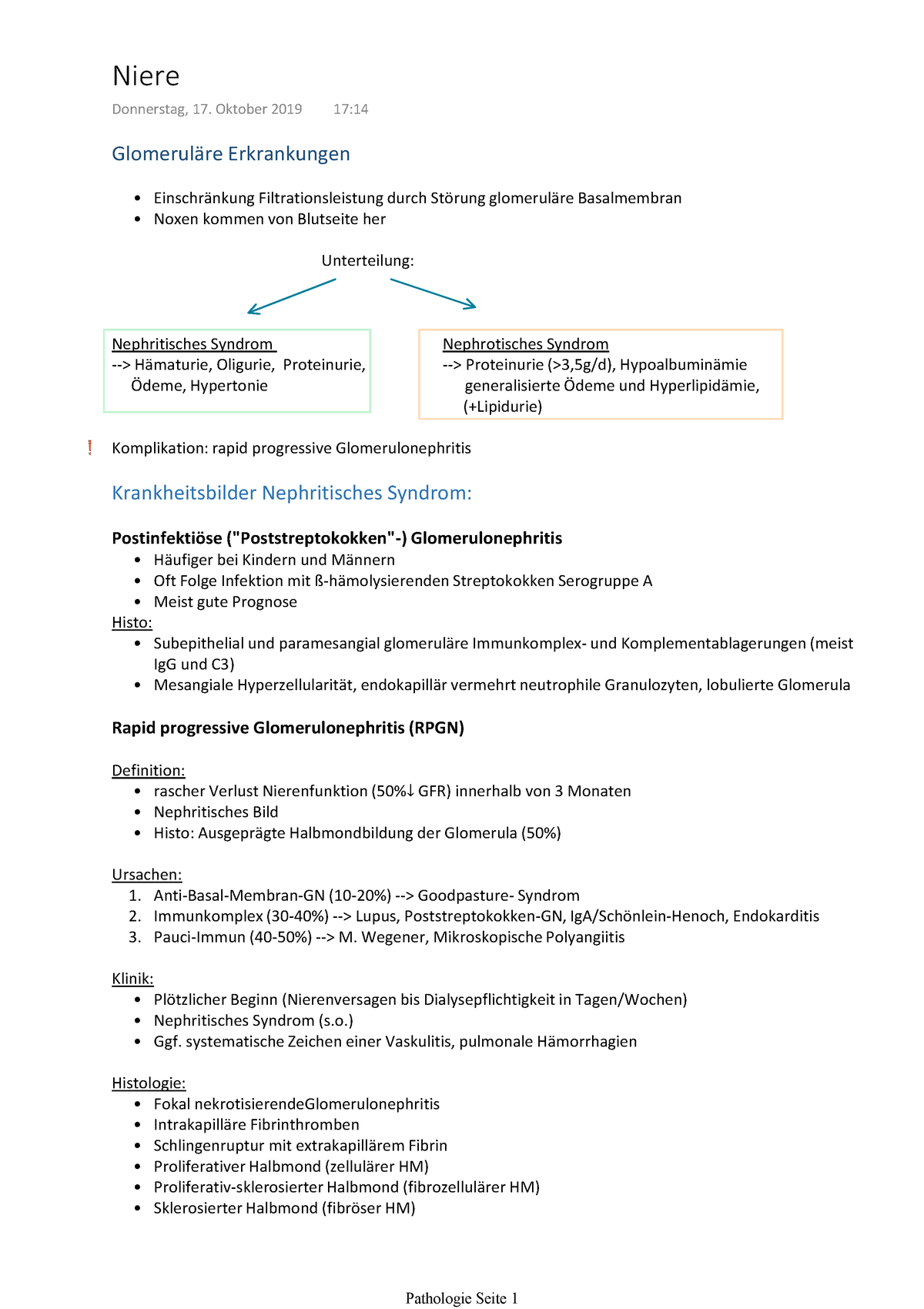 Pathologie Niere Warning Tt Undefined Function 32 Warning Tt Undefined Function Studocu