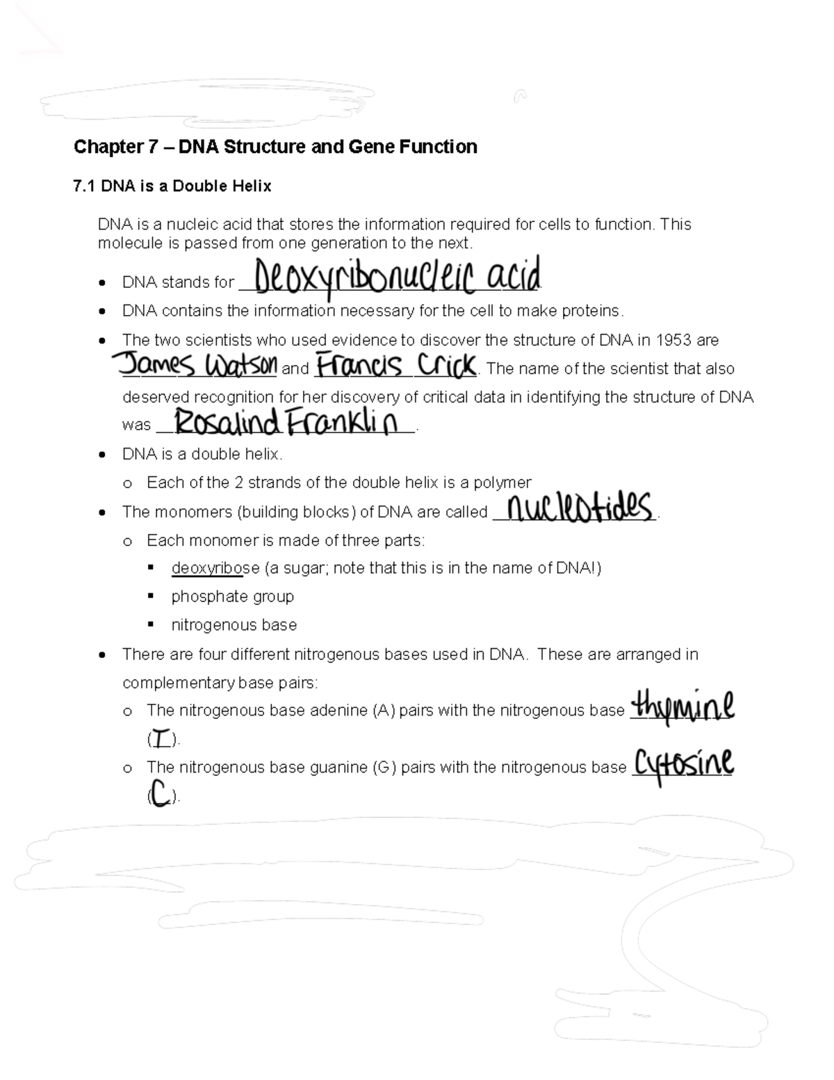DNA sctructure and gene function - Updated 7/14/ Topic E Study Guide ...