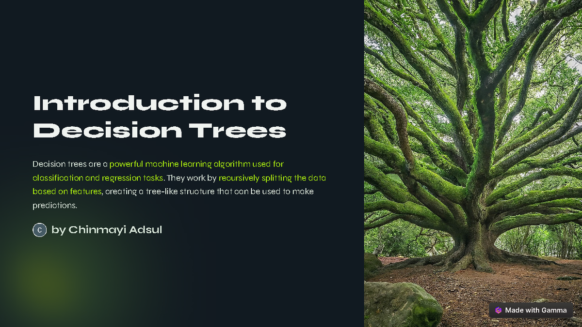 Introduction-to-Decision-Trees - Introduction to Decision Trees ...