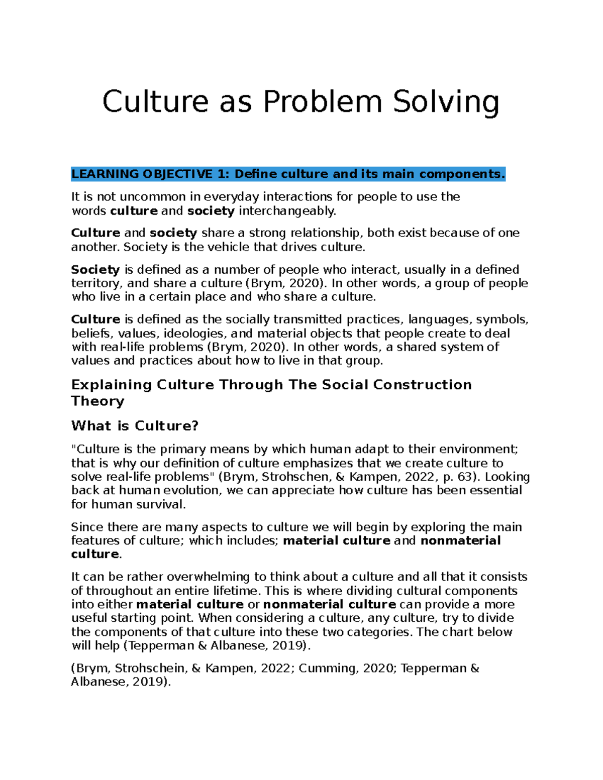 problem solving culture definition