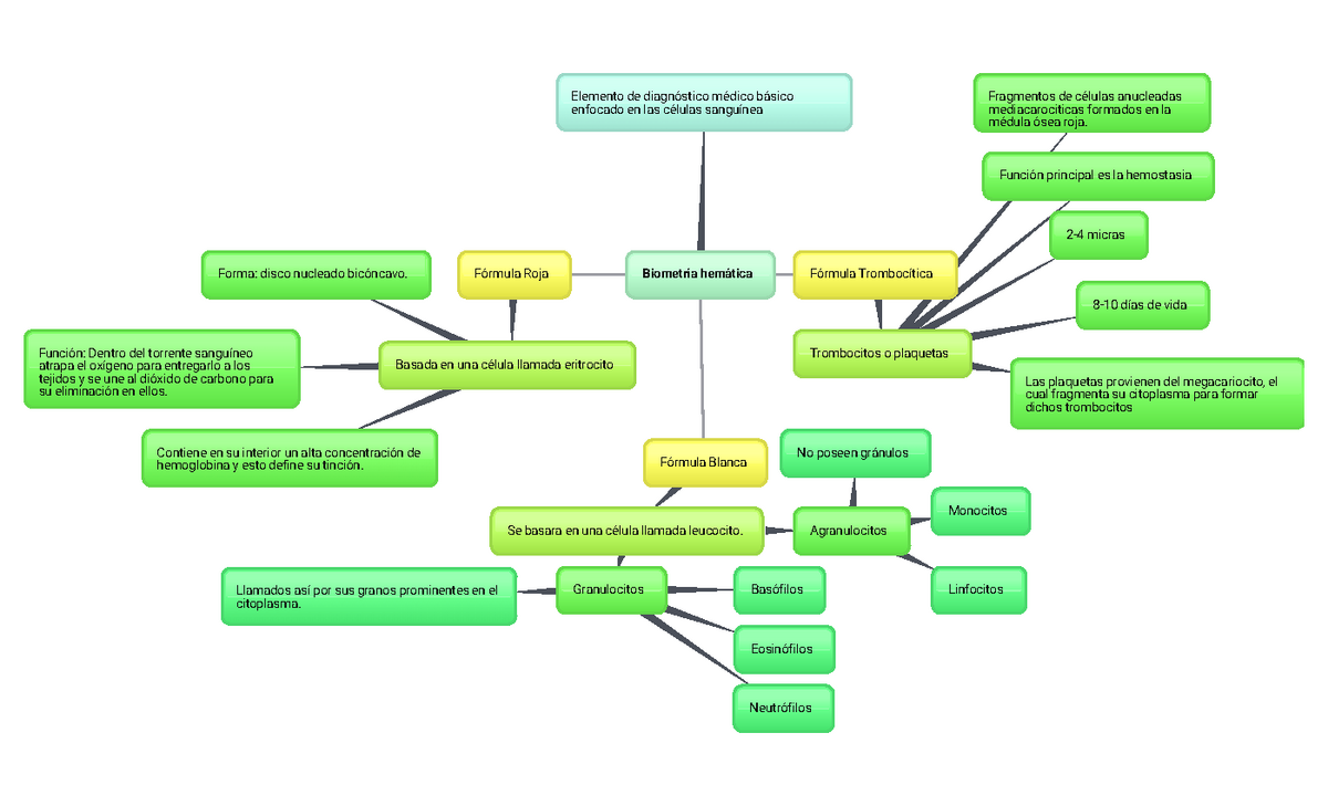 Biometría hemática, mapa mental - Laboratorio Clínico - UTN - Studocu