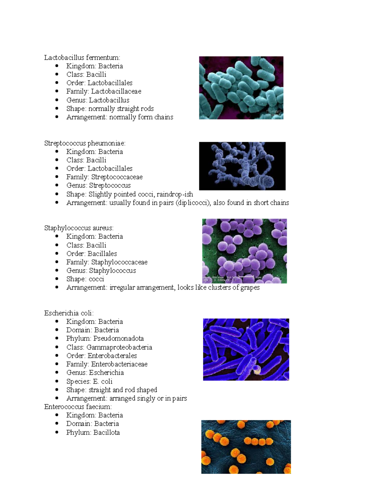 assignment of bacteria